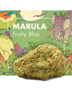 MARULA Fruity Bliss 2gr by...