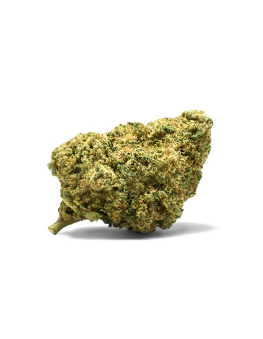 MIKADO Girl Scout Cookies 2gr by...