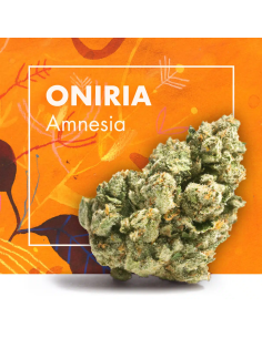ONIRIA Amnesia 10gr by...