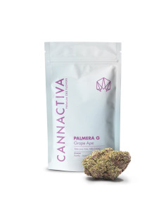 PALMERA G Grape Ape 2gr by... 2