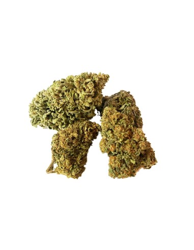 Sour Tsunami CBD 5gr